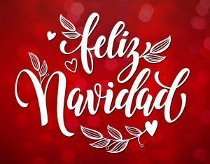 looks navidad
